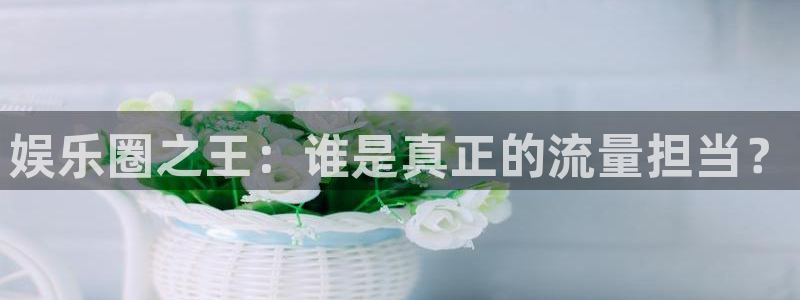 蓝图娱乐