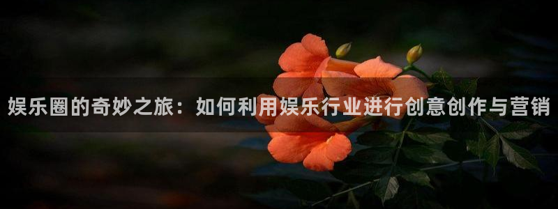 蓝图娱乐平台主管