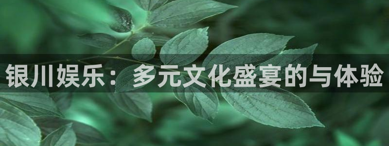 蓝图娱乐平台主管