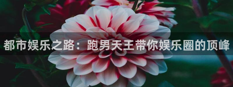蓝图娱乐